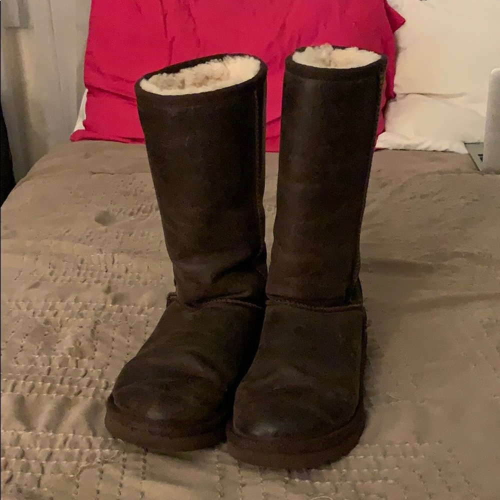 UGG Classic Long Leather in Chestnut